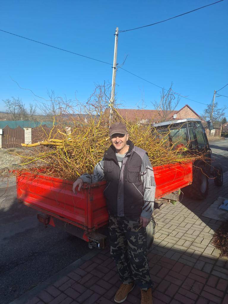Velké díky Pavlovi Orságovi za krásnou vrbu a Vítovi Růčkovi za kočičky, které poslouží ke zdobení.