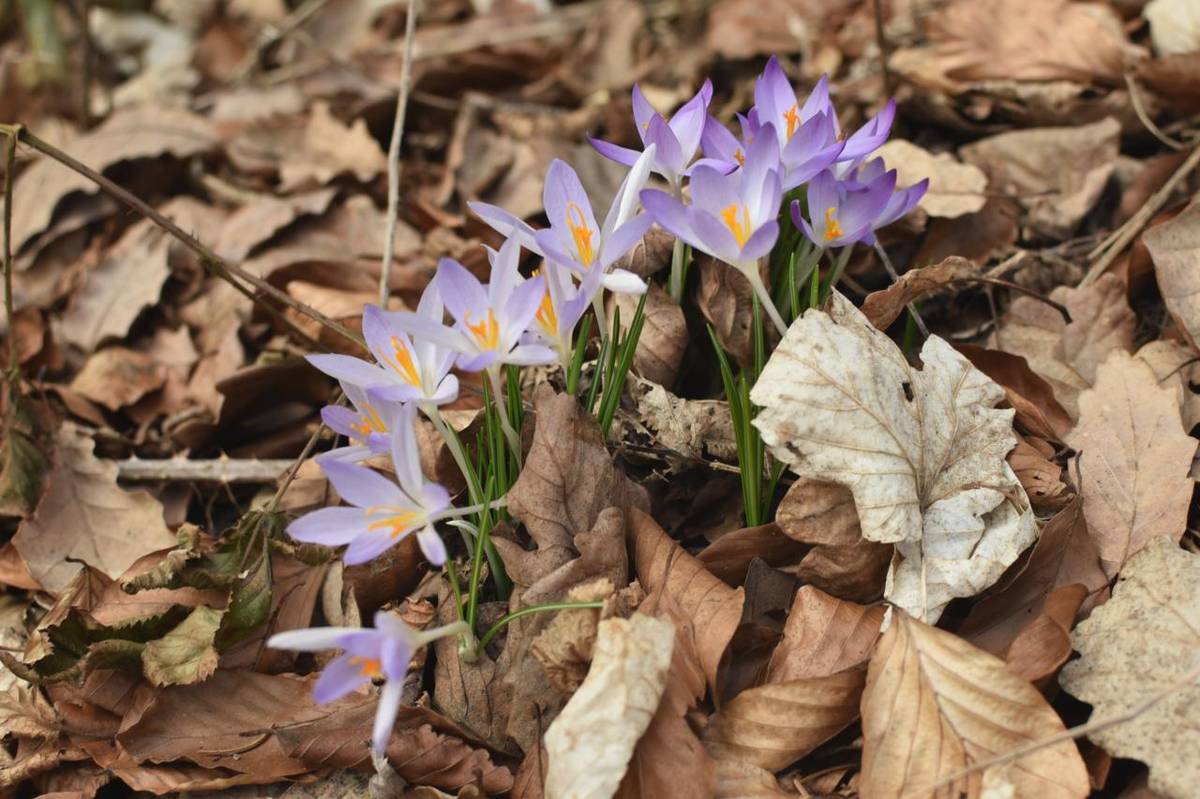 Jak jsme si 4. března užili skrytá tajemství Řeky stříbrné
