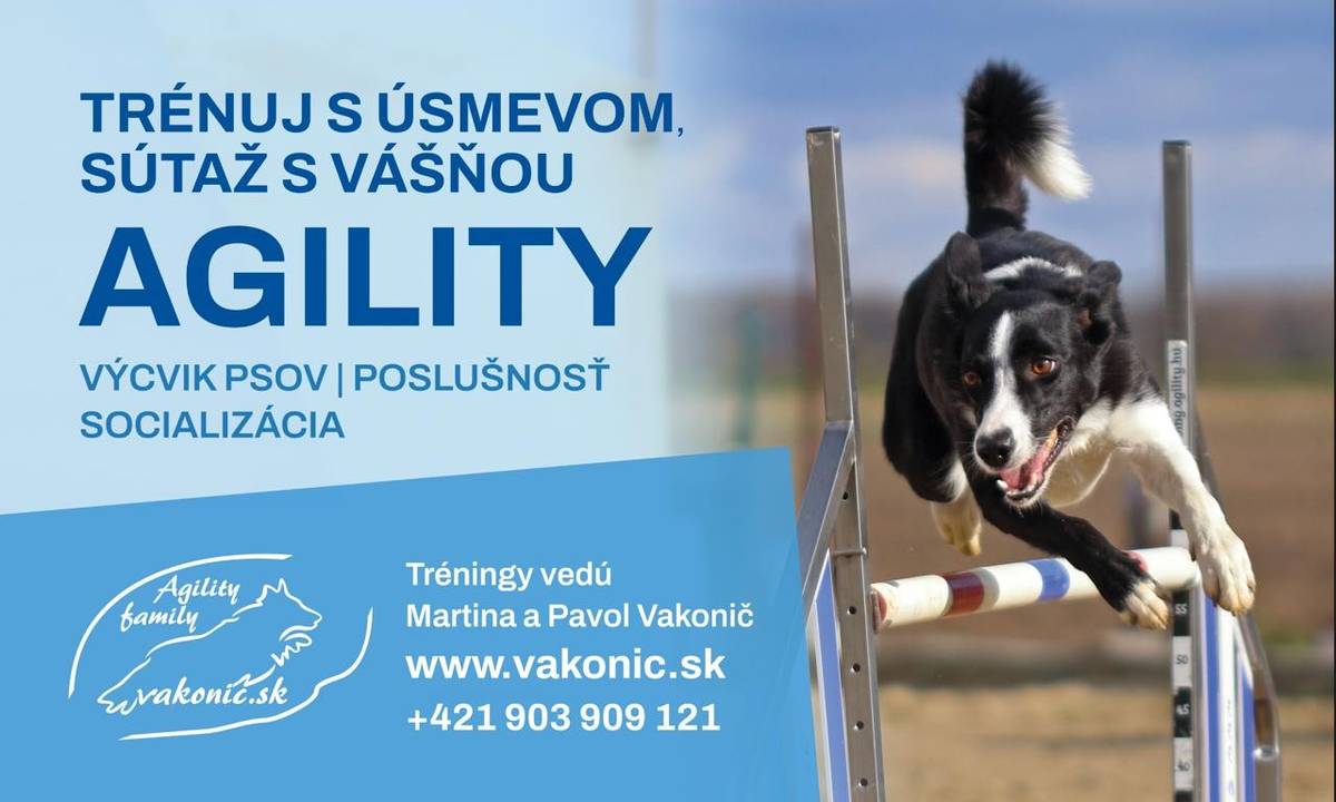 Pripravený je skupinový tréning zameraný na poslušnosť, socializáciu a hravé cvičenia pre psov všetkých veľkostí - vhodný aj pre úplných začiatočníkov a šteniatka. Cena tréningu je 15 eur. Prihlásiť sa môžete telefonicky na čísle 0903 909 121 alebo e-mailom na martina@vakonic.sk.