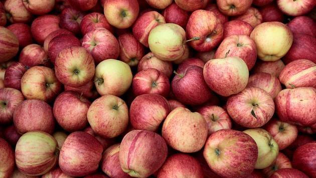 Prodejce pan Synek z Vacenovic oznamuje, že bude ve čtvrtek 5. 3. v době od 13:00 - 13:30 hodin prodávat na prodejním místě jablka golden, jonaprince braedburn 25kč/kg, brambory na uskladnění 25kg a 10kg balení brambory 13Kč/Kg a cibuli za 15Kč/kg.