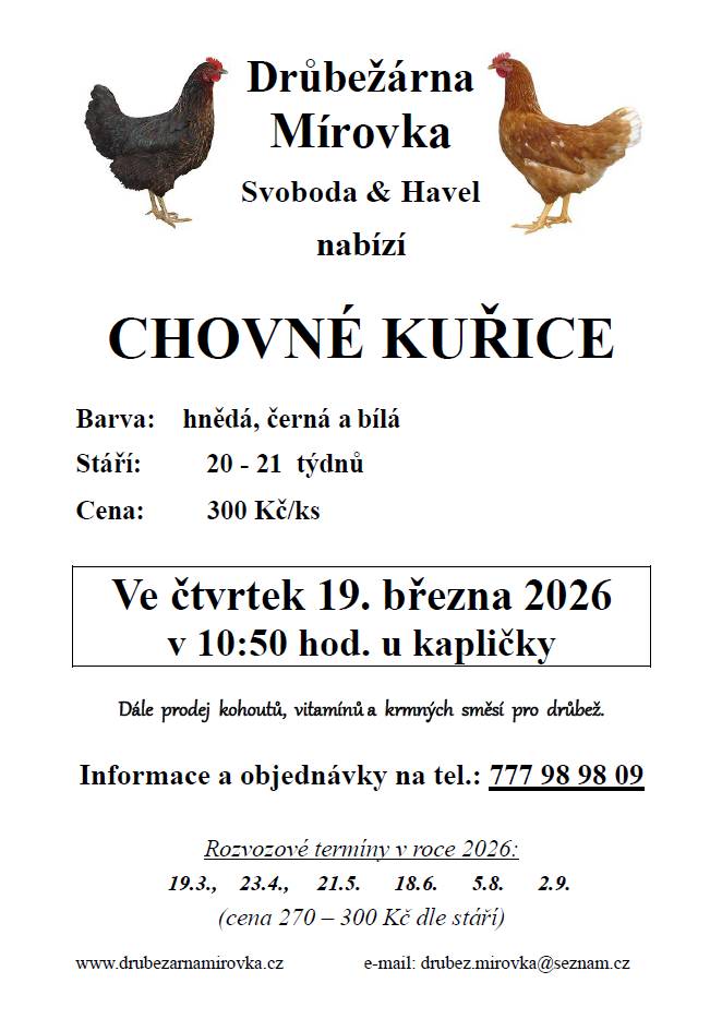 DRŮBEŽÁRNA MÍROVKA, Svoboda-Havel, prodává  ve čtvrtek 19. března 2026 v 10:50 hod. u kapličky   nosné kuřice (hnědé, černé a bílé) - stáří 20-21 týdnů, cena 300 Kč     Objednání (doporučujeme) je možné na tel.: 777 98 98 09 nebo drubez.mirovka@seznam.cz.