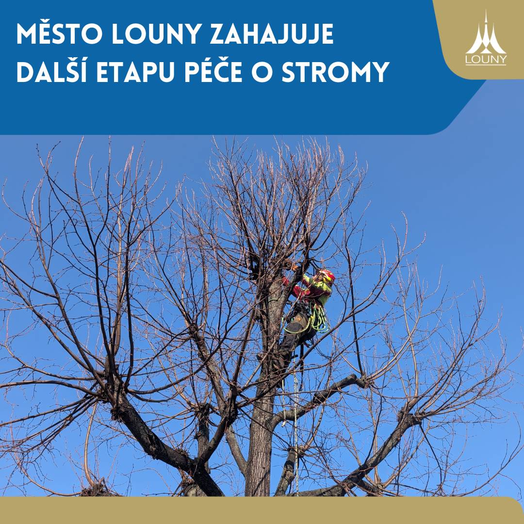 Na Mírovém náměstí od včerejšího dne probíhá druhá etapa převádění stávajících korun lip na koruny primární. Práce na Mírovém náměstí dočasně omezí v příštím týdnu parkování v některých částech náměstí. Od poloviny března budou arboristické práce probíhat také v dalších ulicích města Loun. ➡️ Více informací najdete na webu města https://1url.cz/qeJEC
