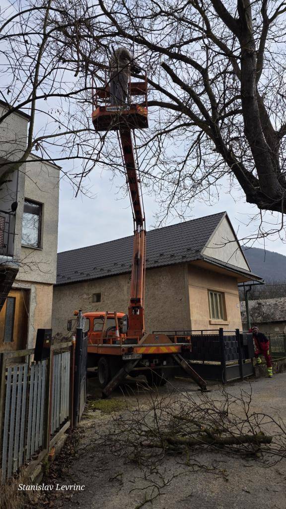 V uplynulých dňoch obec Rochovce zabezpečila odborný orez stromov na viacerých miestach v obci. Dôvodom boli najmä prerastené alebo poškodené konáre, ktoré mohli pri nepriaznivom počasí predstavovať riziko pre majetok občanov, obecný majetok či bezpečnosť v okolí komunikácií.