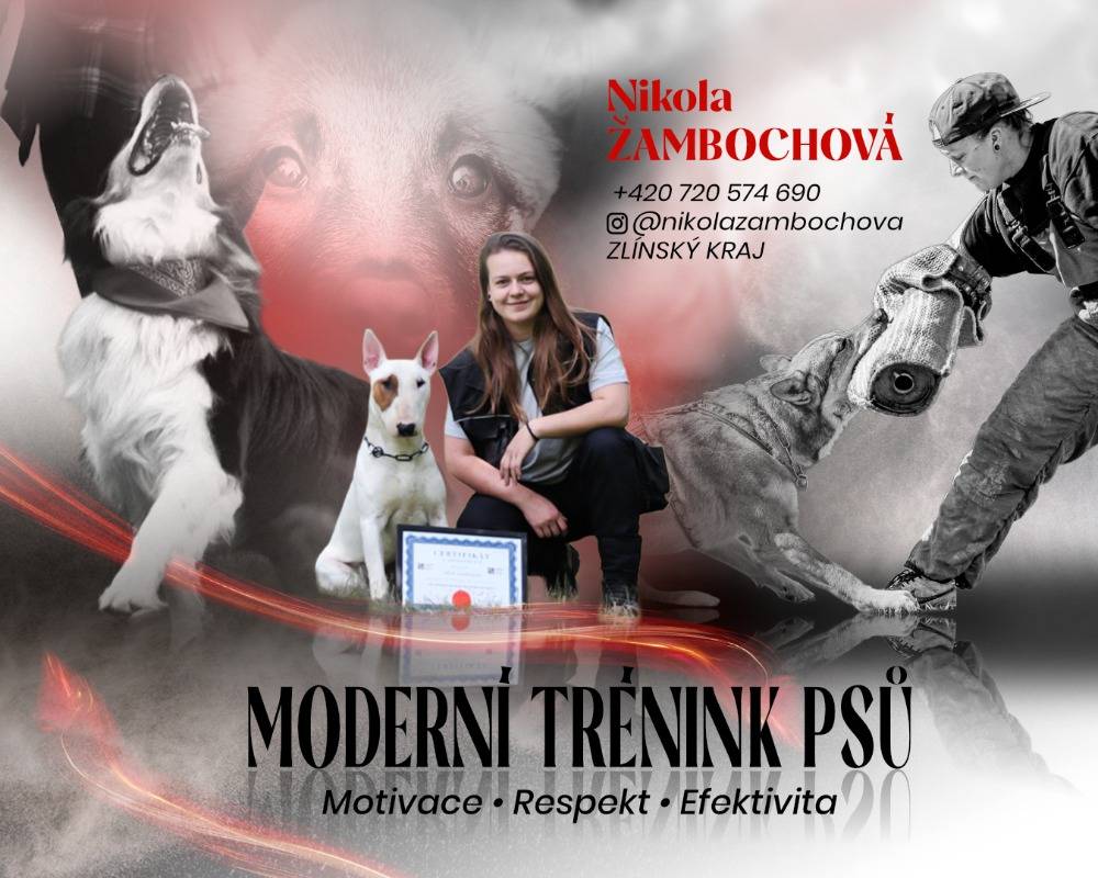 Nabídka v příspěvku: