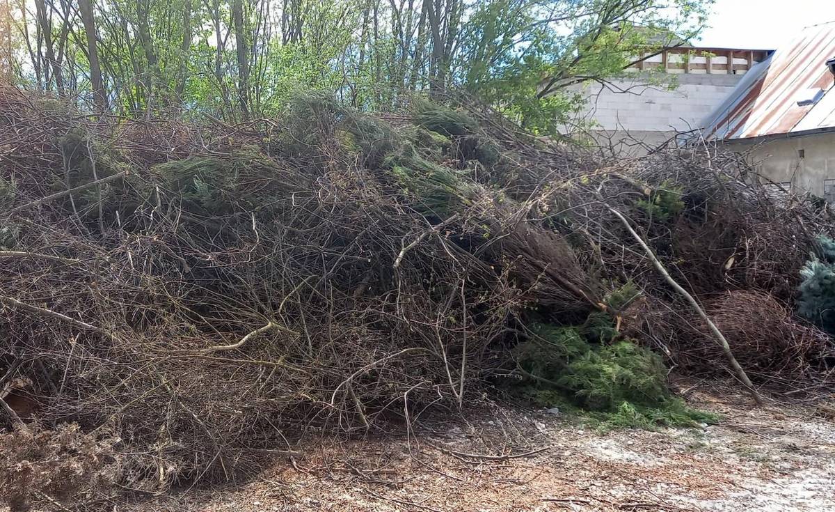 Obecný úrad oznamuje, že zber zeleného odpadu je zabezpečený od 01. apríla 2026.