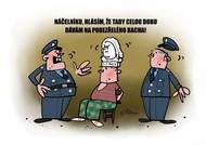 Sofistikovaný dohled