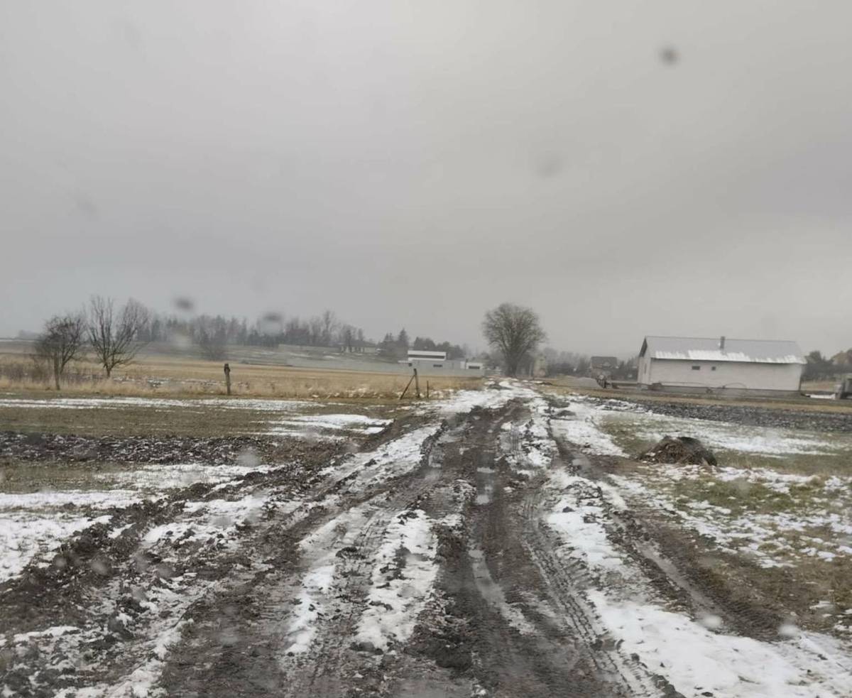 spoločnosti Danucem