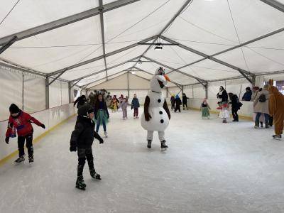 Zimní sezóna je za námi a rádi bychom znali váš názor na kluziště v městském parku, proto jsme připravili krátkou anketu.