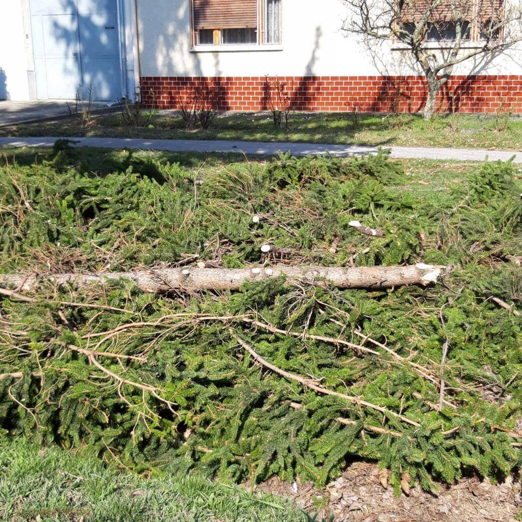 Obec Ružindol bude vykonávať mobilný zber drevného bioodpadu. Občania môžu vykladať bioodpad (konáre a odrezky stromov) na verejné priestranstvá pred a za svoje rodinné domy do 22.3. 2026