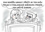 Prezident umí uspat