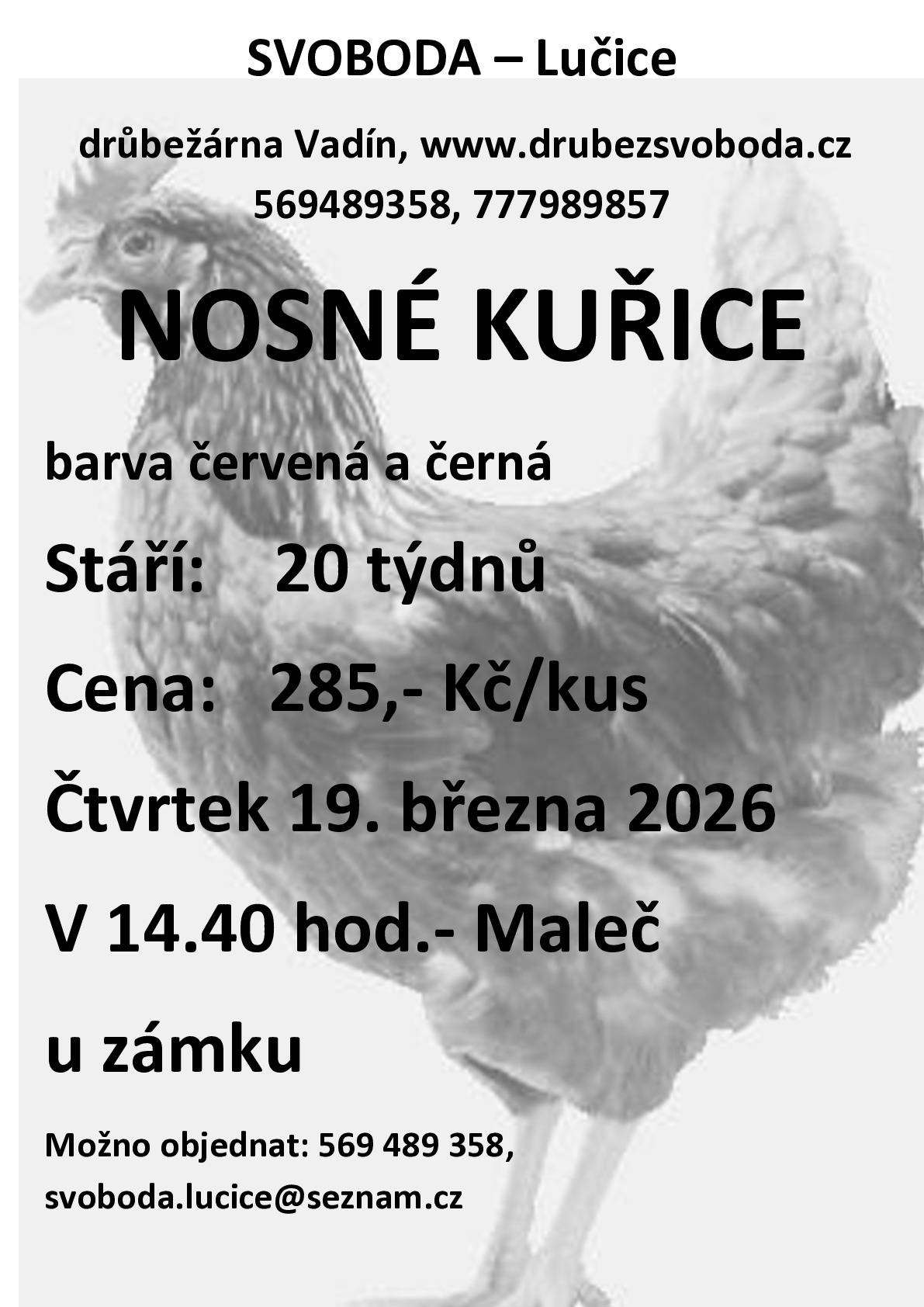 Firma Svoboda Lučice bude prodávat ve čtvrtek 19.3. 2026 ve 14:40h u zámku nosné kuřice, stáří 20 týdnů, cena 285,-Kč/ks. Barva červená-Isa brown a čená- Morávia. Objednání je možné na tel.569 489 358 nebo email svoboda.lucice@seznam.cz