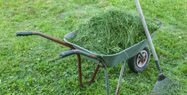 Od poloviny března začíná pravidelný svoz větví a trávy. Kontejnery budou k dispozici následovně: