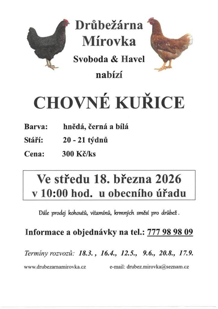 DRŮBEŽÁRNA MÍROVKA, Svoboda-Havel, prodává  ve středu 18. března 2026 v 10:00 hod. u obecního úřadu  nosné kuřice (hnědé, černé a bílé) - stáří 20-21 týdnů, cena 300 Kč