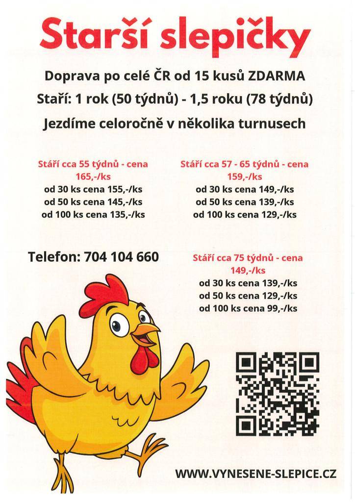 Naše nabídka zahrnuje starší slepičky ve stáří od 1 roku do 1,5 roku. Doprava je zajištěna zdarma po celé České republice při objednávce od 15 kusů. Ceny se pohybují od 99 Kč za kus při odběru nad 100 slepiček. Pro další detaily nás kontaktujte.