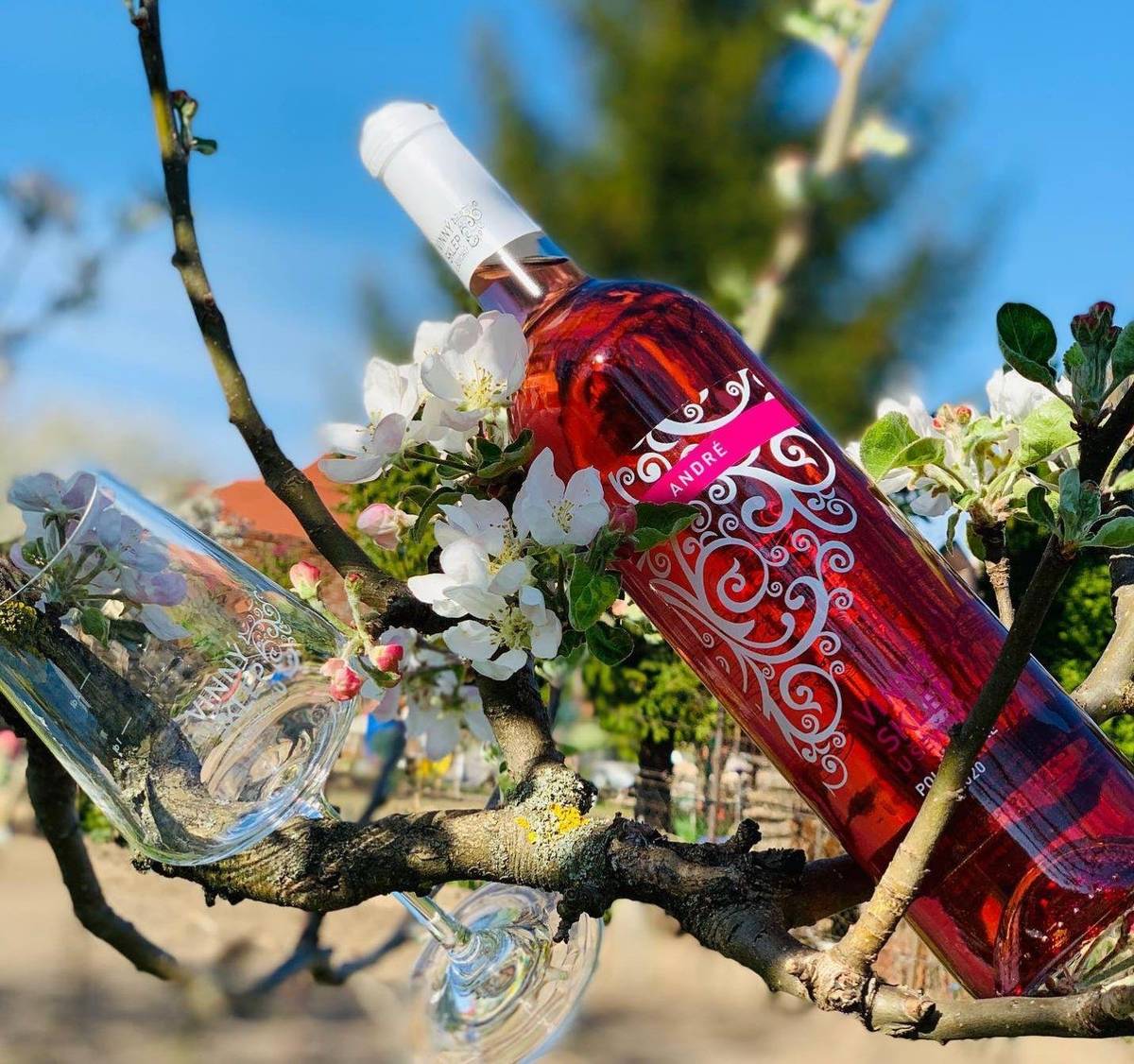 V sobotu 21. 3. 2026 od 17:00 vás zveme do Muzejní kavárny čp. 1 v Dolní Branné na ochutnávku moravských vín s Honzou Ševčíkem z Mutěnic. Přijďte ochutnat kvalitní víno přímo z rukou vinaře. Vstupné je 650 Kč, počet míst je omezen. Rezervace na tel.: 606 852 920.