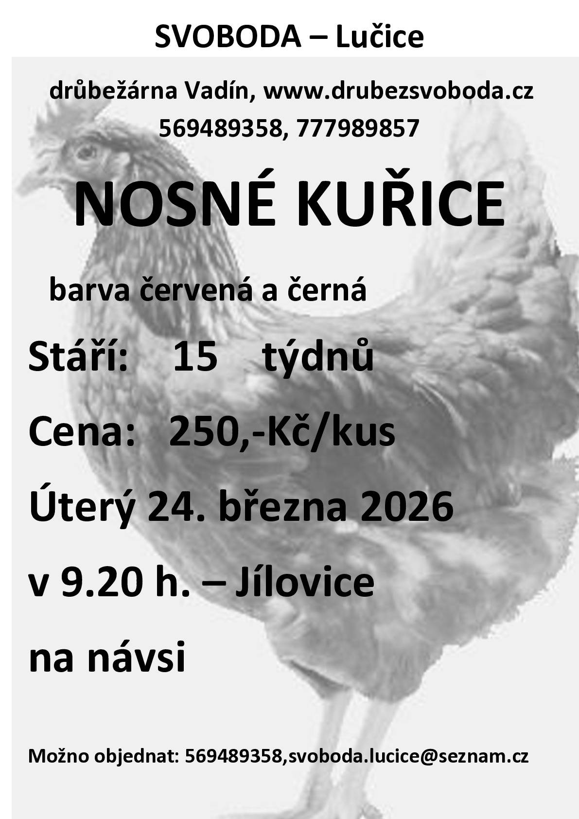 Firma Svoboda Lučice bude prodávat v úterý 24. března 2026 v 9.20 hodin na návsi nosné kuřice, stáří 15 týdnů, cena 250,- Kč/kus, barva červená-Isa brown a černá-Morávia    Objednání je možné na  tel. 569 489 358 nebo emailem svoboda.lucice@seznam.cz