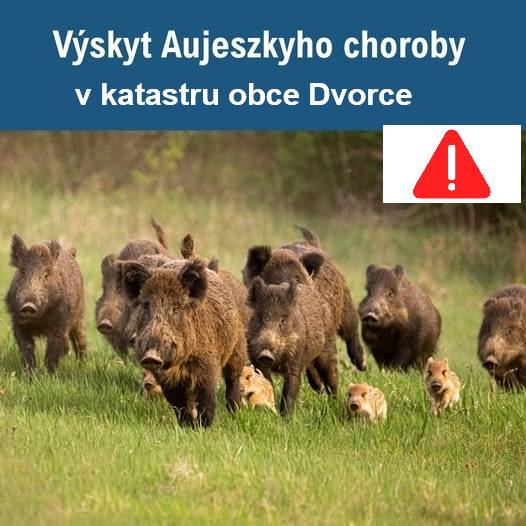 Potvrzena nákaza Aujeszkyho choroby.  Bližší informace naleznete níže.