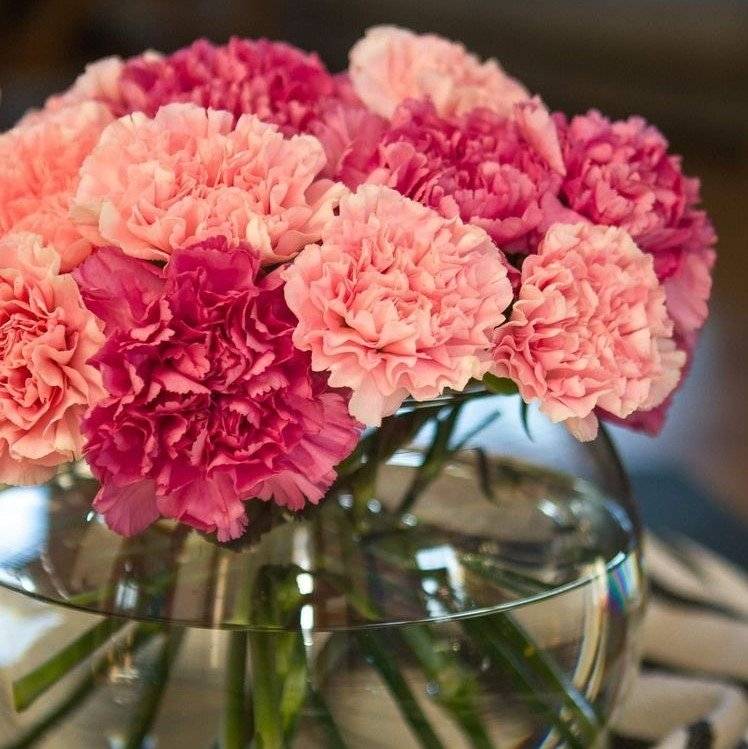 Milé ženy, ať je Váš dnešní den plný radosti, pohody a krásných okamžiků. 🌸❤️   #hlucin #mestohlucin #mdz #krasnymdz