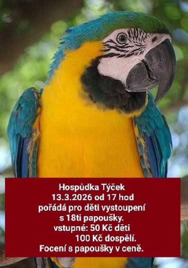 Hospůdka Týček pořádá pro děti vystoupení s 18-ti papoušky.  Focení s papoušky v ceně.
