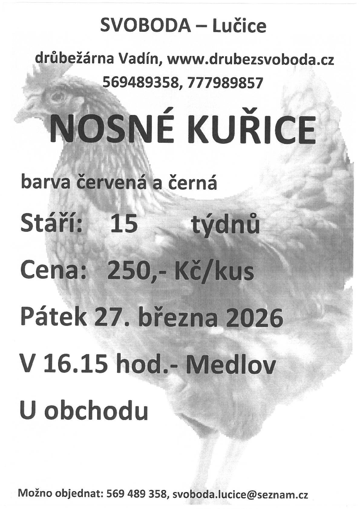 Firma Svoboda Lučice, bude prodávat v pátek 27. března 2026 v 16.15 hodin u obchodu nosné kuřice, stáří 15 týdnů, cena 250,- Kč/kus, barva červená-Isa brown a černá-Morávia  Objednání je možné na  tel. 569 489 358 nebo emailem svoboda.lucice@seznam.cz                                 Děkuji Svobodová 569 489 358, 777 98 98 57, www.drubezsvoboda.cz