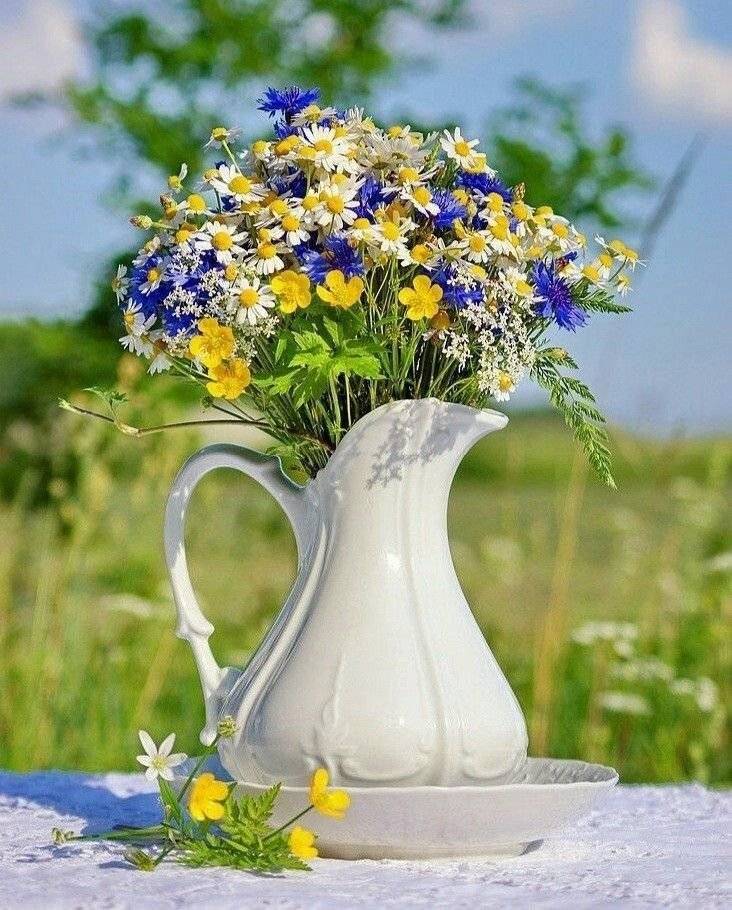 Obec Košín přeje všem ženám vše nejlepší k dnešnímu svátku žen!