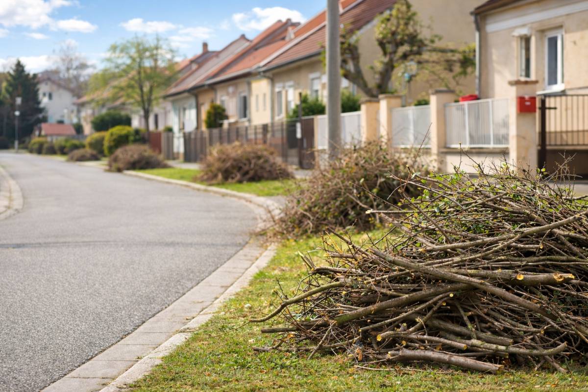 Mobilný zber konárov zo záhradných drevín bude pokračovať v sobotu 14. marca 2026 v mestskej časti Modranka.  Orezané konáre stromov a kríkov je potrebné v deň zberu vyložiť pred rodinný dom najneskôr do 7.00 h. Zberové vozidlo prechádza jednotlivými ulicami iba raz, preto je potrebné pripraviť orezy včas. Po odvoze prosíme obyvateľov, aby prípadné zvyšky po orezaných drevinách upratali z verejného priestranstva tak, aby zostalo čisté v súlade s príslušným VZN mesta Trnava. Počas mobilného zberu sa nezbierajú vrecia ani nádoby s trávou, lístím či inými zvyškami rastlín zo záhonov. Tento druh odpadu patrí do hnedých zberných nádob na biologicky rozložiteľný komunálny odpad (BRKO).    Viac informácii nájdete v tomto článku.