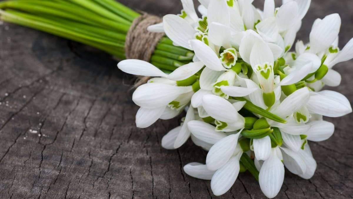 Všem ženám 😉k dnešnímu svátku 💐přejeme 🥂pevné zdraví 🙏a vše krásné❤️.