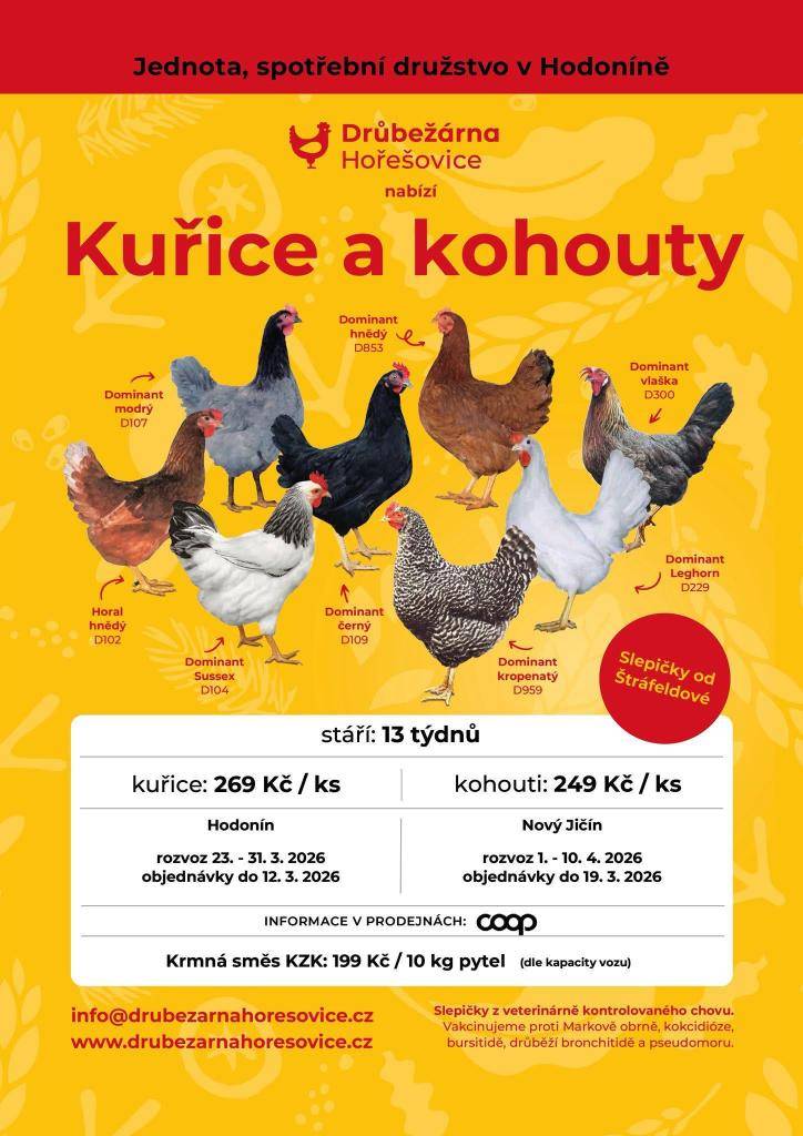 Prodejna Jednota Kateřinice nabízí nosné kuřice z veterinárně kontrolovaného chovu a očkované proti různým nemocem. Objednávky se přijímají do 19.03.2026.