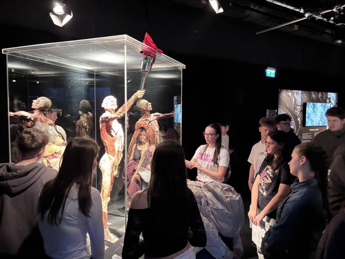 V pondělí 9. března 2026 se žáci 8. ročníku vydali na školní výlet do Prahy na známou výstavu Body Worlds, která přibližuje lidské tělo z pohledu anatomie a medicíny. Byla to pro nás jedinečná příležitost vidět lidské tělo tak, jak ho běžně nemáme možnost poznat.