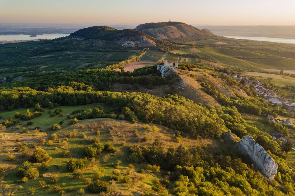 V naší zemi není mnoho míst, která by se mohla pochlubit tak krásnou a rozmanitou přírodou jako Pálava. Není tedy divu, že již od poloviny 20. století zaznívaly požadavky na ochranu tohoto unikátního území.