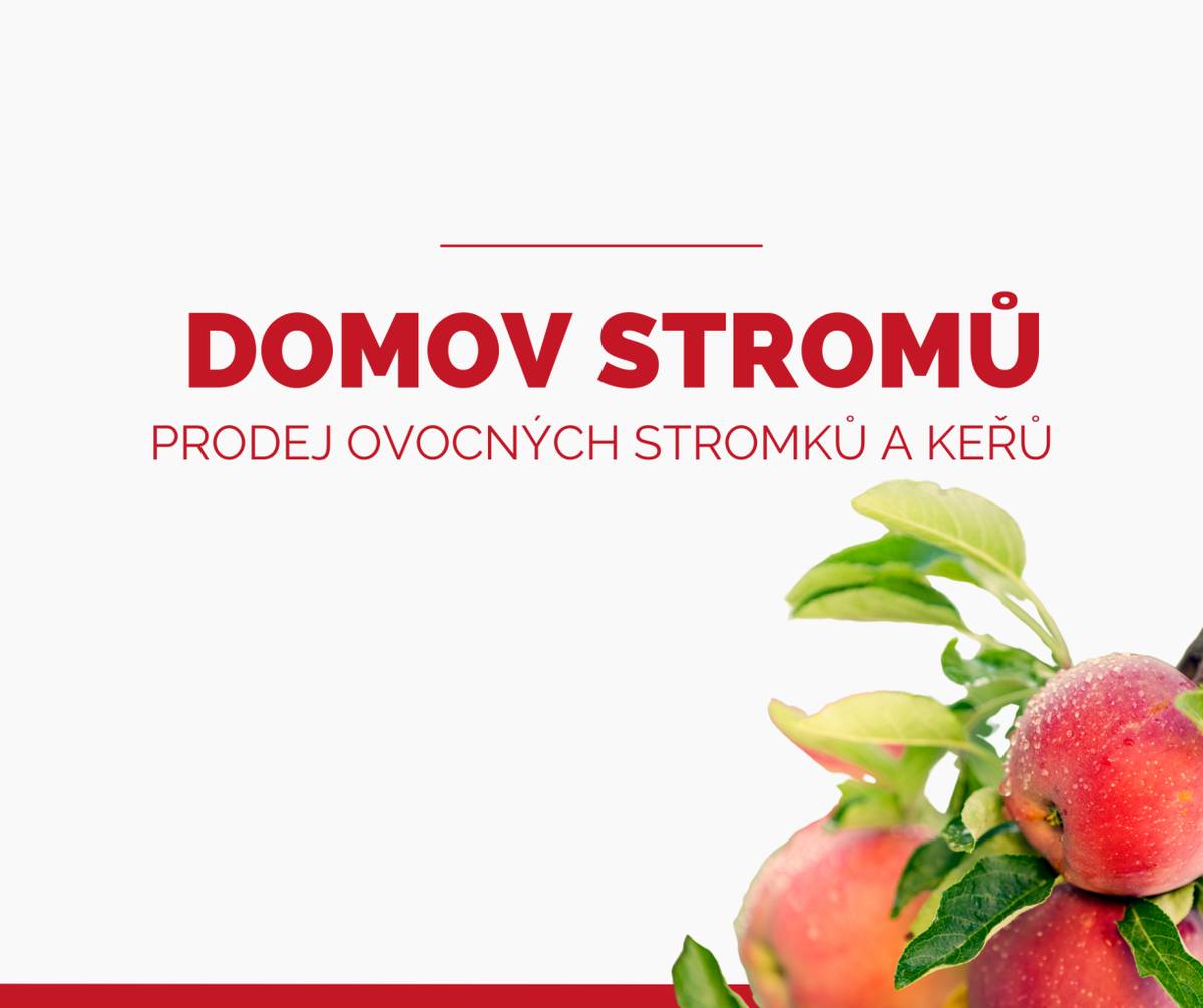 Nabídku a více informací najdete na e-shopu: www.domovstromu.cz nebo na telefonním čísle: +421 911 910 140
