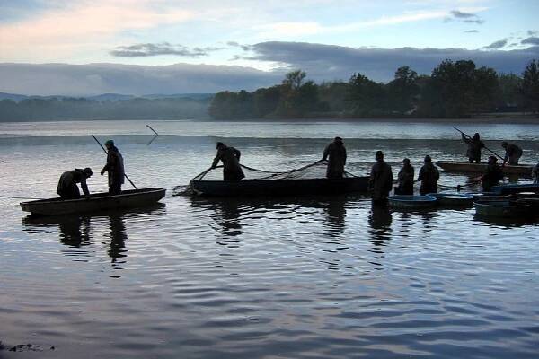 Plán výlovů - jaro 2026