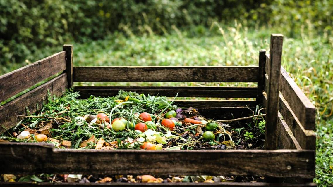 Biologicky rozložiteľný odpad (BRO) tvorí významnú časť komunálneho odpadu v domácnostiach. Ide najmä o pokosenú trávu, lístie, konáre, zvyšky zo záhrad či kuchynský bioodpad rastlinného pôvodu. Tento odpad pritom nemusí končiť v zmesovom komunálnom odpade – dá sa jednoducho zhodnotiť kompostovaním priamo doma.