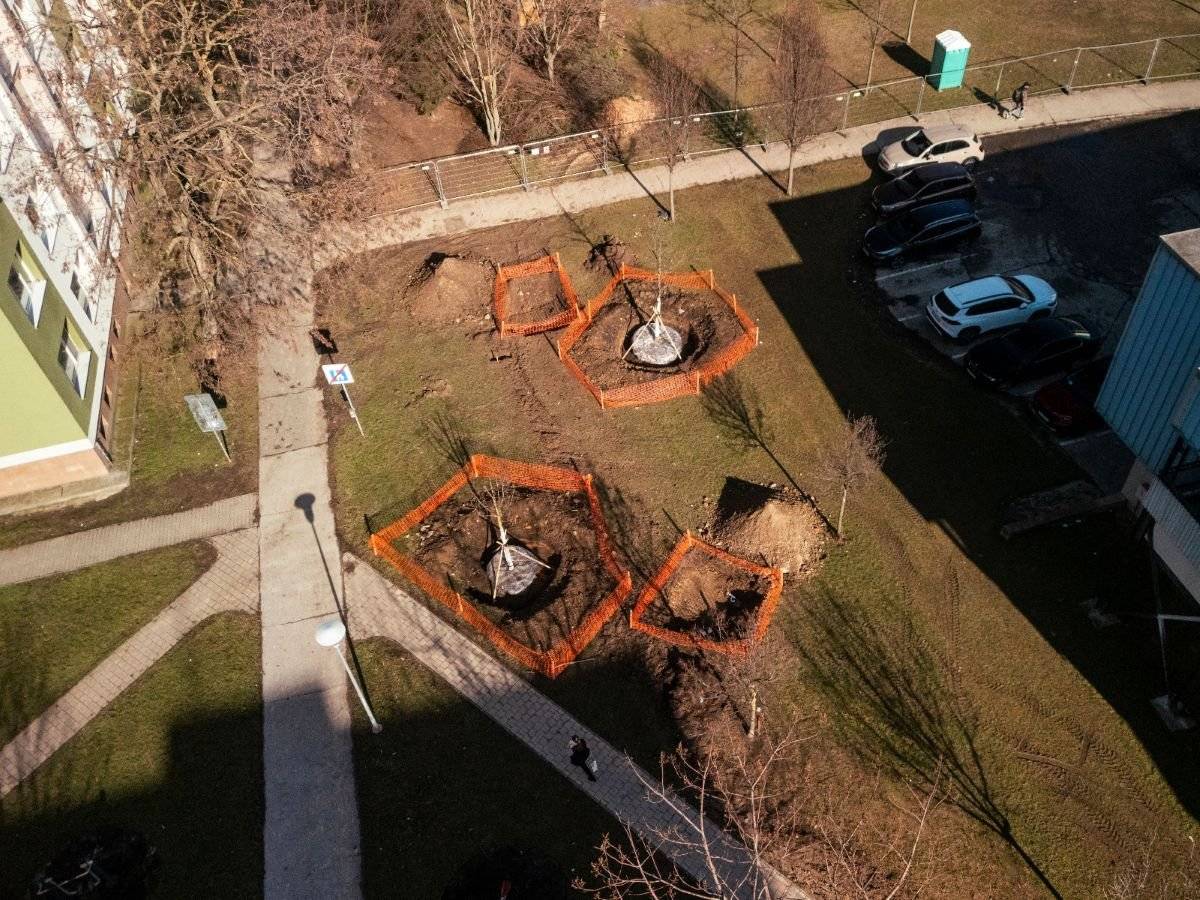 Revitalizácia obytného súboru Generála Goliana je najväčším projektom obnovy sídliska na Slovensku. Prinesie nové chodníky, kvalitnejšie verejné priestory, lepšie podmienky pre pohyb aj oddych a celkové zlepšenie prostredia pre obyvateľov.     Pri premene však myslíme aj na to, čo robí sídlisko príjemným už dnes – zeleň. Tam, kde je to možné, sa preto existujúce stromy neodstraňujú, ale presádzajú.     V riešenom území sa počíta s výsadbou 331 nových stromov. Súčasťou projektu je zároveň aj presadenie 32 stromov a približne 157 m2 krov.      Presádzanie je odborný a náročný proces, no každá drevina, ktorú sa podarí zachovať, pomáha udržať charakter miesta aj príjemnejšiu mikroklímu.     Cieľom je, aby po revitalizácii vzniklo zelenšie a kvalitnejšie prostredie pre život.     Viac informácií nájdete v tomto článku.
