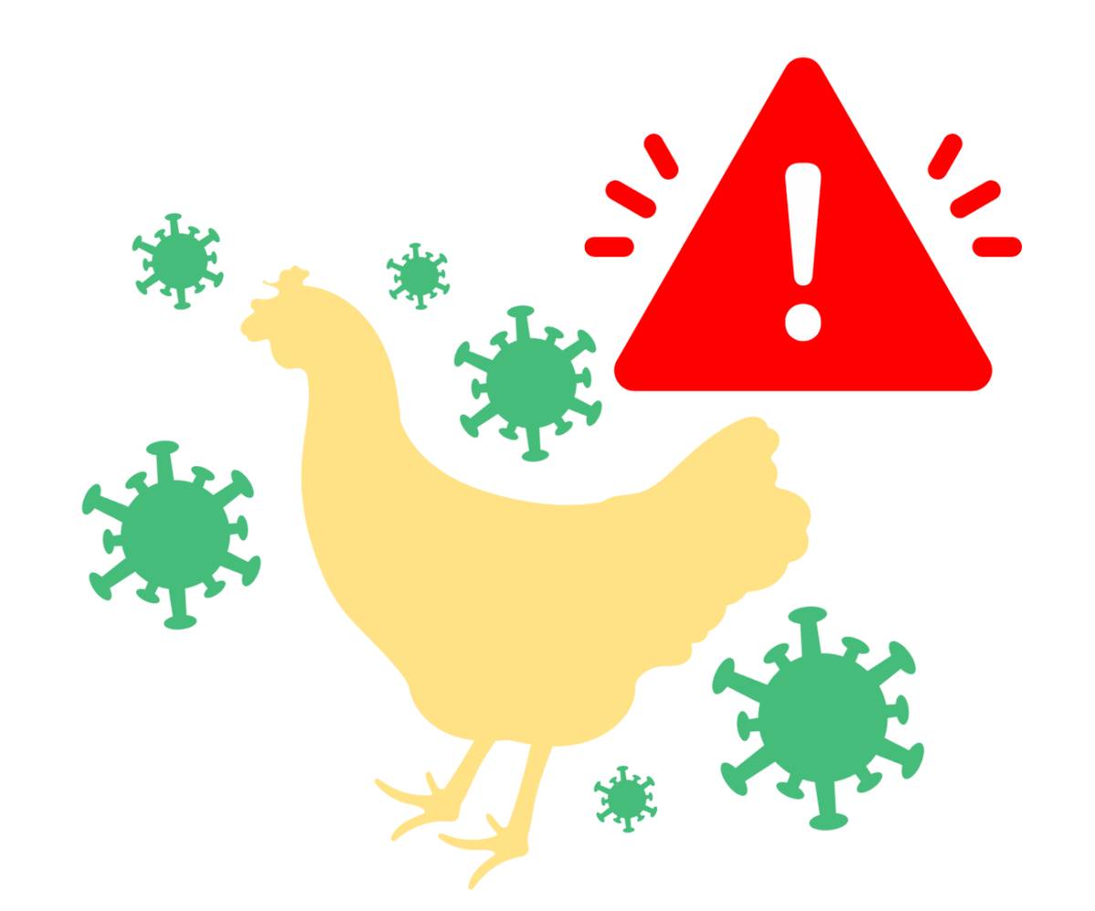 RVPS Liptovský Mikuláš zrušuje opatrenia na kontrolu chorôb zvierat vydané pod č.s. 210/2026-500, č.z.224/2026 dňa 2.2.2026 v súvislosti s výskytom aviárnej influenzy u voľne žijúcich vtákov v k.ú. Vlašky