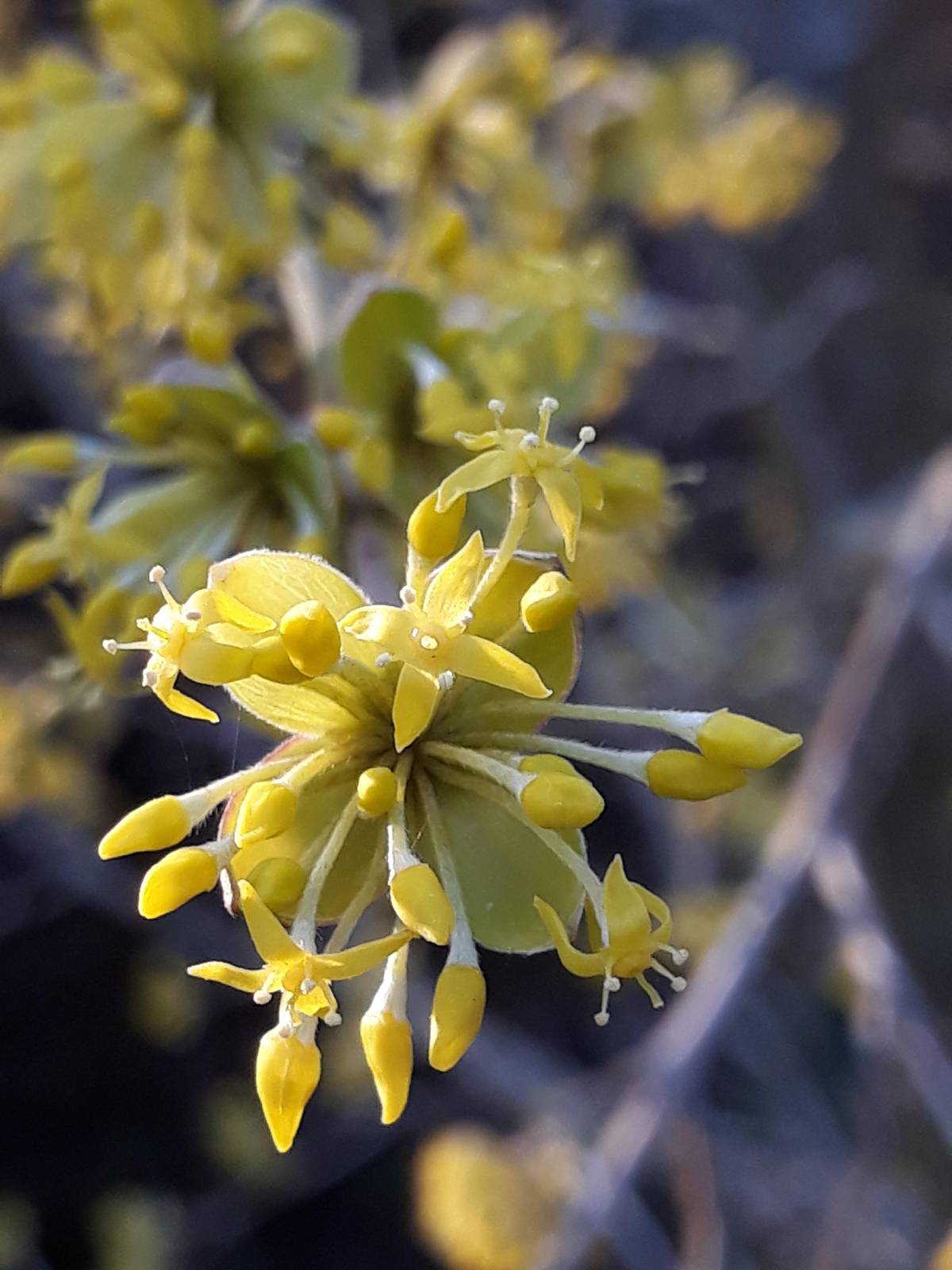 Pavel Čejka: Tvůrčí psaní a myšlení v době AI Dnes od 16:00, Městská knihovna Broumov. Více ZDE   Degustace vín v benediktinských sklepích Dnes od 18:00 do 21:00, Benediktinské sklepy / Klášter Broumov. Více ZDE   Králičí nora: Prostor pro hru a tvorbu V pátek 13. března od 10:00, Dětská galerie Lapidárium / Klášter Broumov. Více ZDE   Ze života zvířat – akce pro rodiny s dětmi V sobotu 14. března od 10:00, Klášter Broumov. Více ZDE   Ranní meditace V úterý 17. března od 8:00 do 8:25, Klášter Broumov. Více ZDE   Nečekané léto - kino V úterý 17. března od 18:00, Konferenční sál IC Broumovska. Více ZDE   Bartok – Marco Bartoccioni Ve středu 18. března od 19:00, Undergroundový klub Eden. Více ZDE   Helena Strnadlová, Markéta Kavalé – výstava obrazů Výstava trvá do 25. 4. 2026, výstavní síň LokArt. Více ZDE   Primal ritual – králičí nora – výstava Výstava trvá do 31. 3. 2026, Dětská galerie Lapidárium / Klášter Broumov. Více ZDE   Sympozium ilustrace Od 15. 3. 2026 do 29. 3. 2026 - workshopy, besedy a promítání animovaných filmů. Více ZDE