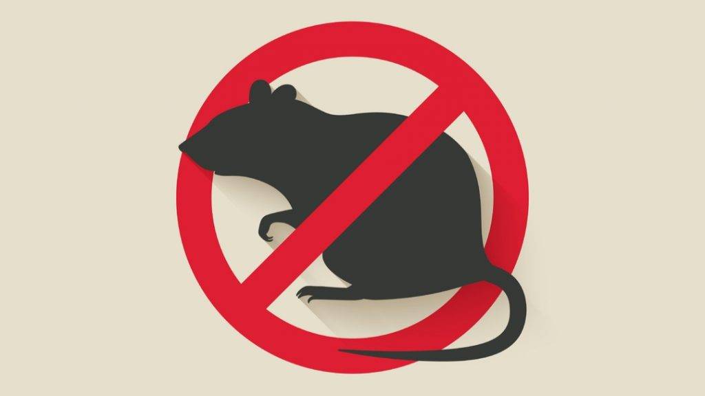 Výzva na výkon jarnej preventívnej celoplošnej deratizácie