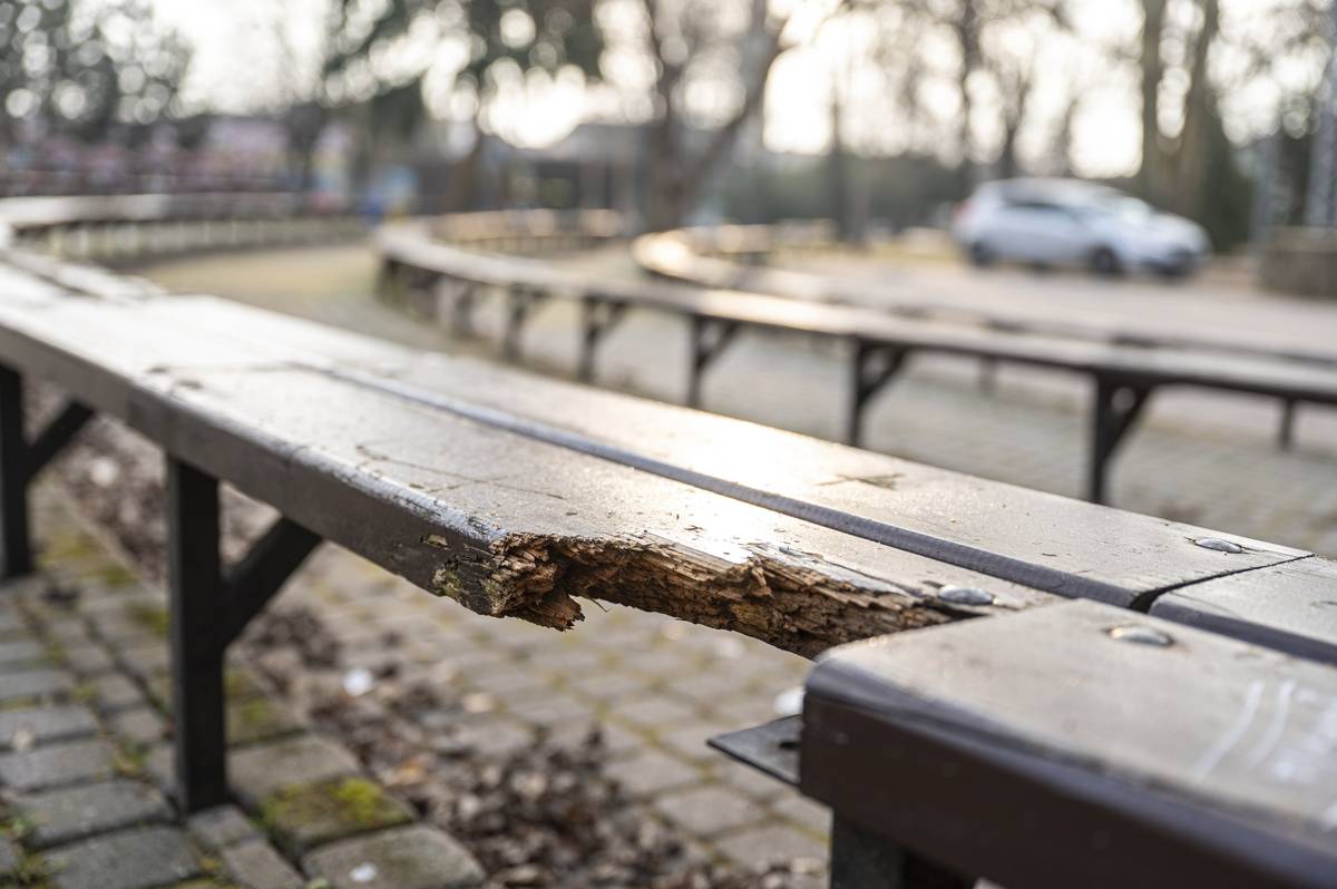 Technické služby mesta v týchto dňoch realizujú výmenu sedacích plôch na lavičkách v amfiteátri v Hurbanových sadoch. Pôvodné drevené dosky boli v uplynulých rokoch poškodené zubom času, poveternostnými podmienkami a miestami aj vandalizmom. Pred začiatkom letnej sezóny preto postupne vymieňame všetky dosky tak, aby bol amfiteáter pripravený na kultúrne podujatia a návštevníkom poskytoval bezpečné a komfortné sedenie. Veríme, že obnovené lavičky budú slúžiť dlhé roky a prosíme návštevníkov, aby pomohli tento verejný priestor chrániť a udržiavať.