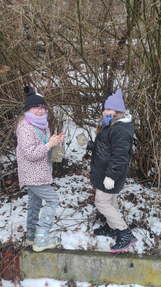 V zimě jsme vyráběli krmítka pro ptáky a instalovali je na stráni.