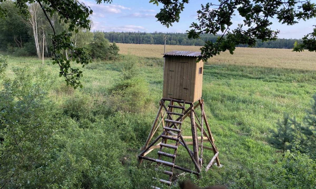Honební společenstvo Kožichovice zve majitele pozemků na výroční schůzi, která se koná 28. března 2026 od 14:00 v Kulturním sále OÚ. Na schůzi zhodnotíme uplynulý rok a nastíníme, co nás čeká v roce letošním. Po oficiální části se můžete těšit na posezení s občerstvením.