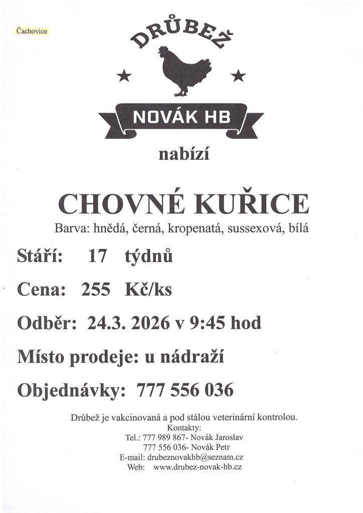 Drůbež Novák HB – drůbežárna Mírovka bude prodávat dne 24. 3. 2026 nosné kuřice před snůškou, stáří 17 týdnů, za cenu 255 Kč za kus, barva hnědá a černá. Prodej proběhne v 9:45 v Čachovicích u nádraží a v 10:10 ve Struhách na návsi.