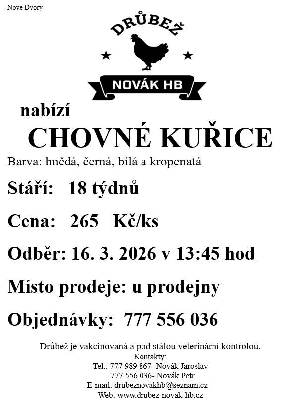 Drůbež Novák HB Mírovka, prodává 16.3. ve 13:45 hod. u prodejny, nosné kuřice před snůškou stáří 18 týdnů, cena 265 Kč za kus, barva hnědá, černá.
