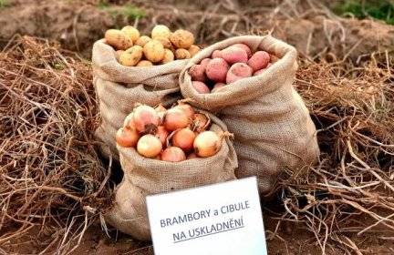 Zelenina Juvita Uherský Brod bude v úterý 10.3. od 10:10 do 10:30 h, prodávat certifikované sadbové brambory z Vysočiny od 18Kč/kg, cibuli 16Kč/kg, jablka  25Kč/kg, konzumní brambory 12Kč/kg, česnek cibuli sazečku a další ovoce a zeleninu.