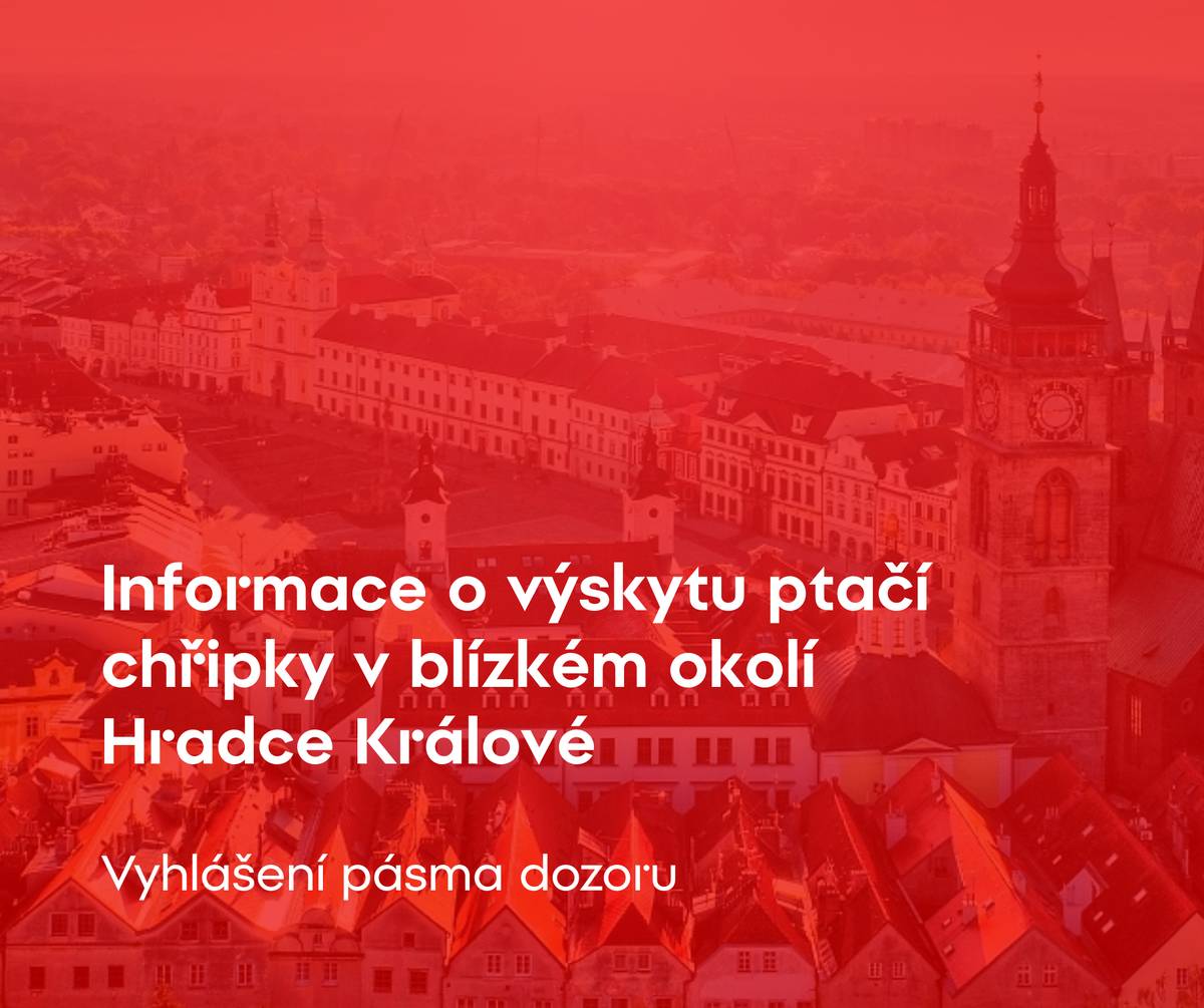 📍 V katastrálním území Dobřenice potvrdila Krajská veterinární správa výskyt ptačí chřipky v chovu drůbeže. Z tohoto důvodu bylo katastrální území Plačice v Hradci Králové zařazeno do pásma dozoru. V těchto pásmech platí mimořádná veterinární opatření. 📍 V období od 12. do 16. března bude proto na základě stanovených opatření probíhat sčítání drůbeže a jiných ptáků chovaných v zajetích pouze v katastrálním území Plačice. V případě zjištění hromadného úhynu ptactva kontaktujte Krajskou veterinární správu. 🔴 Preventivní opatření v drobných chovech ▪️ Držte drůbež v uzavřených objektech. Krmivo a vodu podávejte v uzavřeném přístřešku. ▪️ Zabraňte přístupu volně žijících ptáků, hlodavců i jiných zvířat do chovu (plachty, sítě). ▪️ Dodržujte osobní hygienu. Převlékání, přezouvání, mytí rukou při vstupu ze dvora do domu. ▪️ Sledujte zdraví drůbeže. Zvýšené hynutí, netečnost, průjem, otoky okolo očí a hřebínku, těžké dýchání mohou být příznakem chřipky. ▪️ Zvýšené úhyny drůbeže nahlaste Státní veterinární správě nebo svému veterinárnímu lékaři. 🔴 Krizová linka ▪️ Telefon: +420 495 279 059 ▪️ Krizová linka: +420 720 995 210  ❗️Krizová linka pro hlášení nákazy nebo mimořádné situace. Není určená k přijímání stížností. Linka je k dispozici ve všedních dnech od 8 do 22 hodin. O víkendech funguje nepřetržitě od sobotních 8 hodin do nedělních 22 hodin. Nezneužívejte krizovou linku k jiným než určeným účelům, zabraňujete tím jejímu oprávněnému a důvodnému využití. 🔗 Další informace naleznete na webových stránkách města.