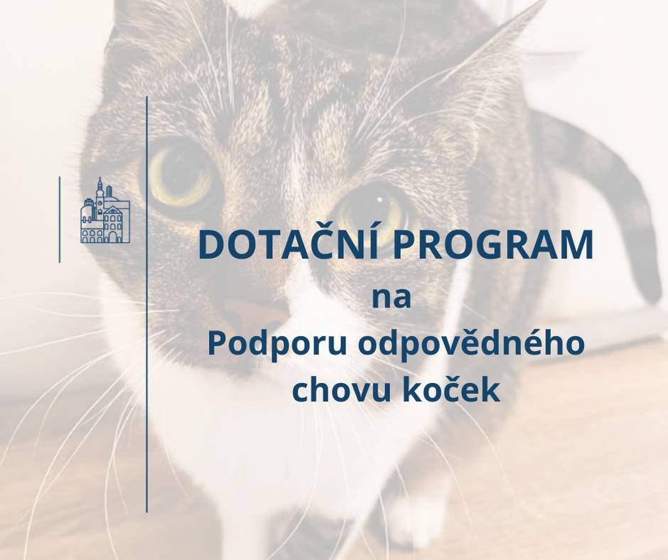 Moravské Třebové je od začátku letošního roku v běhu dotační program zaměřený na podporu odpovědného chovu koček, který má motivovat k efektivnímu omezení nárůst počtu opuštěných koťat a toulavých koček v ulicích města. Podpora je podmíněna podáním jednoduché žádosti. Vzhledem k postupnému čerpání limitovaného objemu rozpočtových prostředků je doporučeno s jejím odesláním neotálet. Celý článek s odkazem na formulář žádosti Podpora odpovědného chovu koček - Moravská Třebová