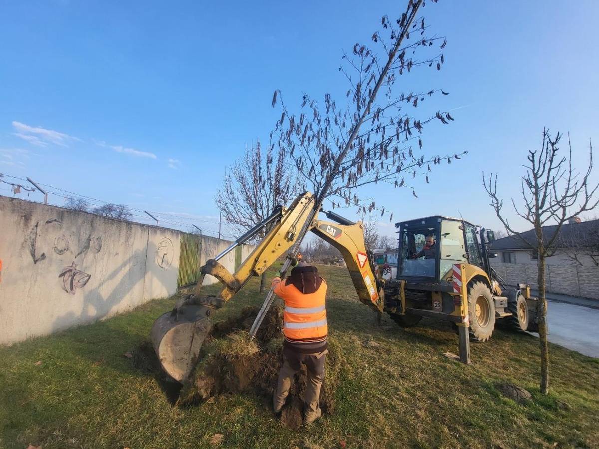 Výstavba cyklochodníka na ulici Pod Párovcami prináša okrem dopravných zmien aj zásahy do existujúcej zelene.