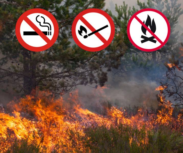 V zmysle § 21 písm. l) zákona NR SR č. 314/2001 Z. z. o ochrane pred požiarmi v znení neskorších predpisov Okresné riaditeľstvo Hasičského a záchranného zboru v Rožňave vydáva opatrenia na zabezpečenie ochrany lesov pred požiarmi v roku 2026.