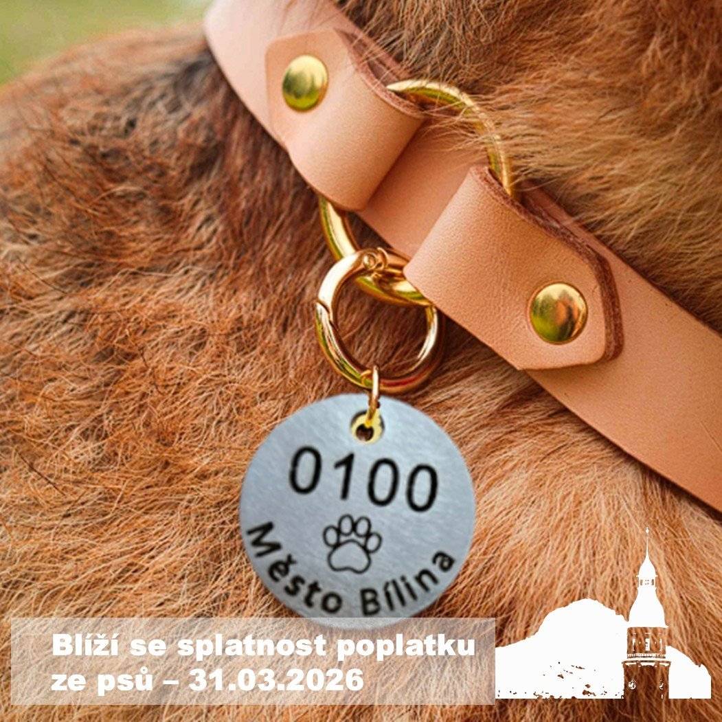 Vážení občané, připomínáme majitelům psů povinnost uhradit místní poplatek ze psa nejpozději do 31. března příslušného kalendářního roku. Od 1. ledna 2026 zároveň došlo ke změně v systému vydávání identifikačních známek. Nově jsou majitelům psů vydávány nerezové identifikační známky s dlouhodobou platností, které již není nutné každoročně měnit. Díky této změně odpadá povinnost osobní návštěvy městského úřadu pouze za účelem vyzvednutí nové známky. Poplatek za psa je možné uhradit převodem na účet města č. 19-1060440379/0800. Pro správné přiřazení platby je nutné uvést variabilní symbol ve tvaru 1341xxxxxx, který je přidělen každému evidovanému psu. V případě, že majitel vlastní více psů, je nutné provést samostatnou platbu za každého psa s příslušným variabilním symbolem. Poplatková povinnost se vztahuje na psy starší tří měsíců. Majitel je povinen psa přihlásit do 15 dnů od jeho pořízení na pokladně Městského úřadu Bílina během úředních hodin. Stejná lhůta platí také pro odhlášení psa v případě jeho úhynu nebo změny majitele, kdy je zároveň nutné vrátit vydanou identifikační známku. Informace o variabilním symbolu poskytne Městský úřad Bílina na telefonních číslech 417 810 825 a 417 810 957 nebo prostřednictvím e-mailových adres skalicka@bilina.cz a kucharoval@bilina.cz. Město děkuje všem majitelům psů za včasnou úhradu poplatku.