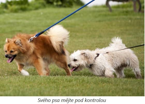 V lese u Malé Svaté Hory byl zjištěn pozitivní případ Aujezskyho choroby u divokých prasat!  Týká se to především honitby Mníšek-LOV (od dálnice směrem na Kytín a osadu Na Rovinách).  Největší riziko pro psy.   Další informace viz článek níže