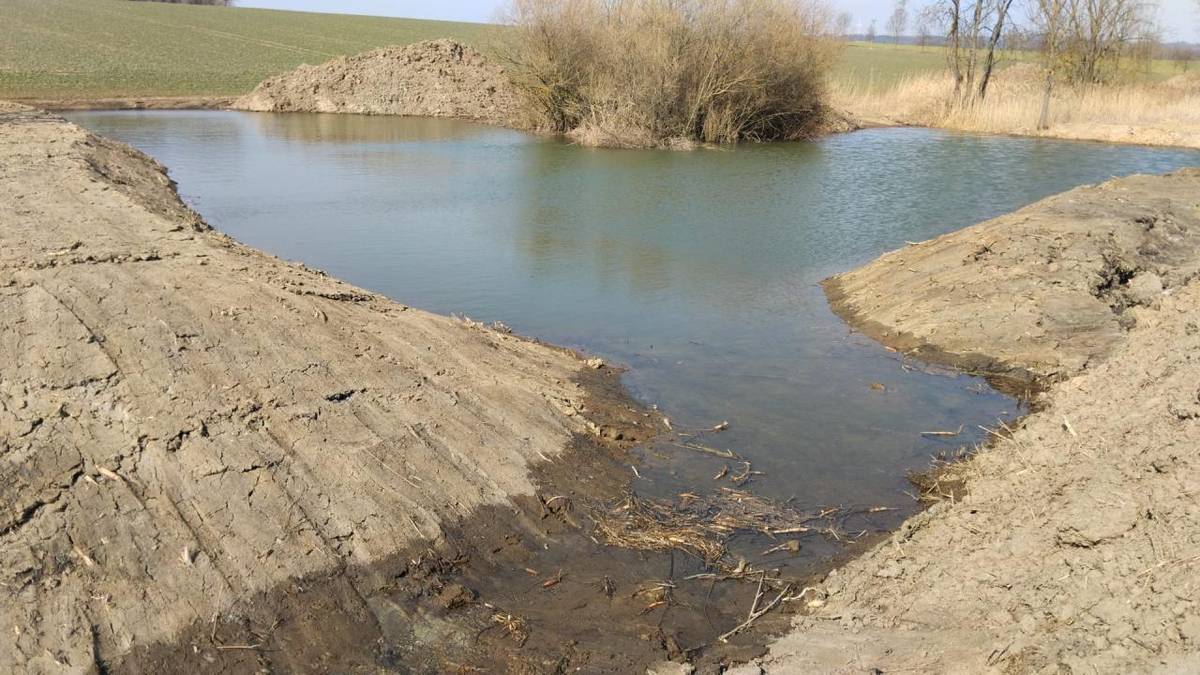 Letošní zimu jsme zakončili zbudováním 4 nových tůní na Račím potoce mezi Bělotínem a Lučicemi.